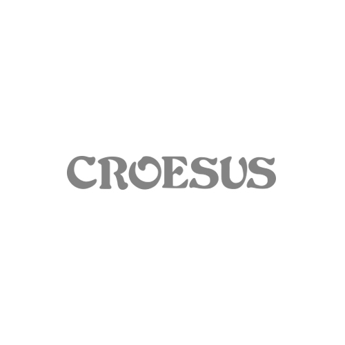 Visual Creativity Projects - Croesus